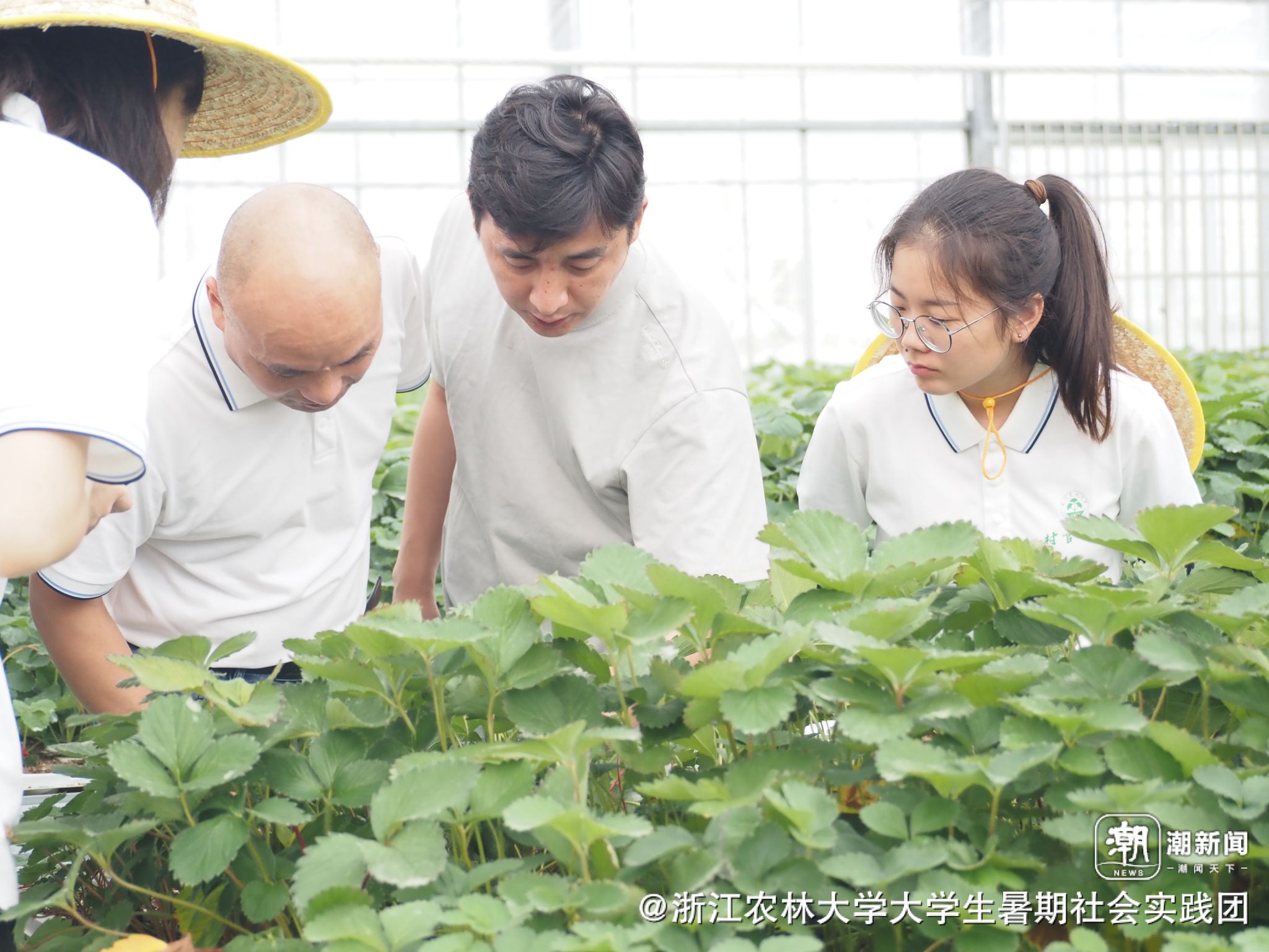 潮新闻：“浙里山海路，共富先锋行”：青春聚力山海间，实践赋能共富路